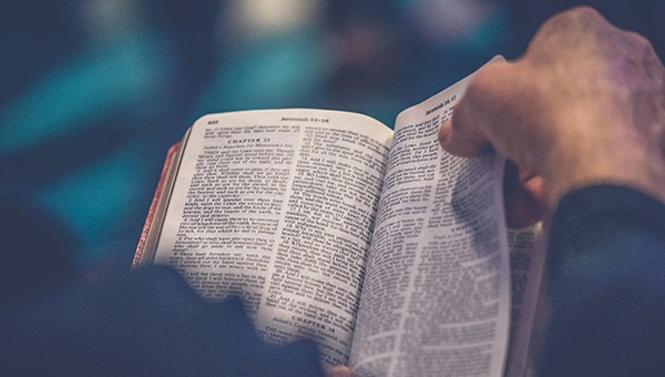 Discover Bible Guides